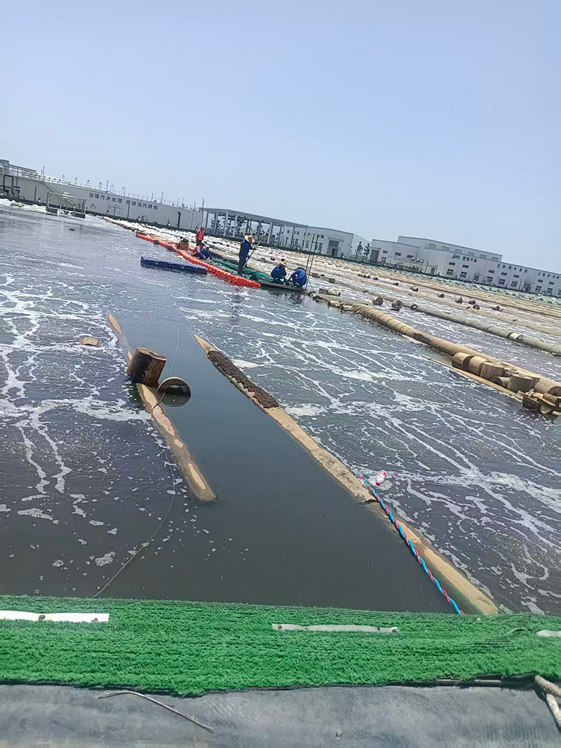污水厂帘布水下修复